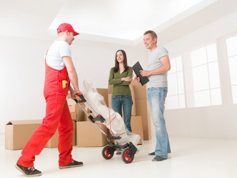 Man and van removals vehicle option