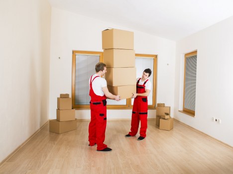 Organised office packing and labelled boxes for a move in Edgware