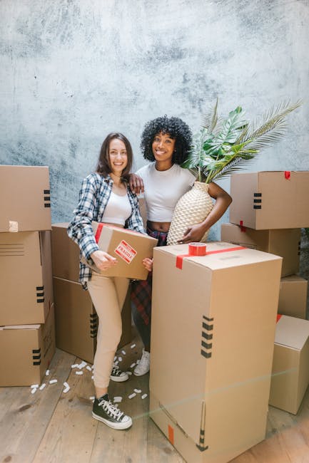 A young woman with long, curly hair and a neutral expression is inside a home, carrying three cardboard boxes stacked one on top of the other during a home relocation. The top box has the word 'toys' handwritten on it in pencil, while the middle and bottom boxes are sealed with packing tape and feature printed markings, including a red circle with an 'H' inside. The woman is wearing a casual, long-sleeved grey top with the sleeves rolled up and is holding the boxes securely with both hands, positioned near a doorway with a wooden frame. Inside, the room has a painted wall, and the background includes a glimpse of a decorated wall with circular patterns. The lighting appears natural, highlighting her focused expression as part of the packing and moving process, exemplified by furniture and packing materials typical for house removals, demonstrating careful handling of packing and transport tasks associated with local house removals in Edgware.